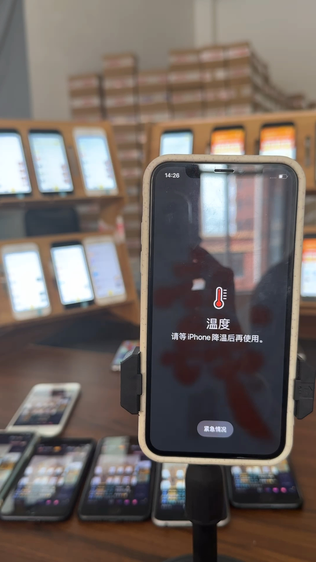 蘋果最新直播,科技與文化的完美融合盛宴