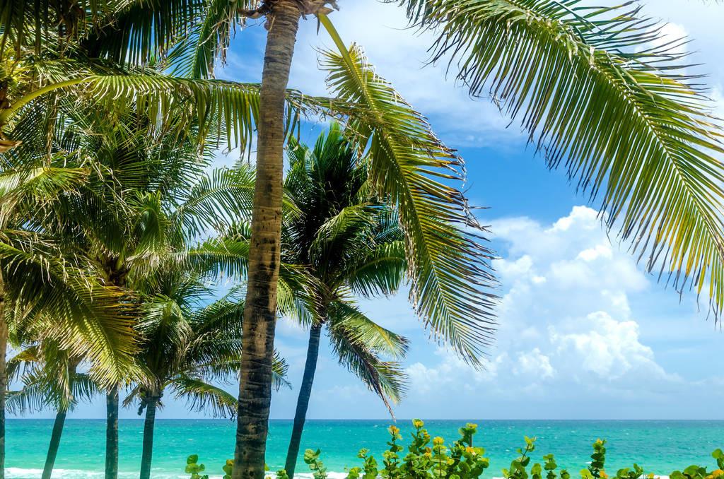 科技重塑旅行體驗,最新付費機場概覽