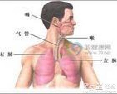 咸豐肺炎最新全面指南與詳解,癥狀、治療、步驟解析