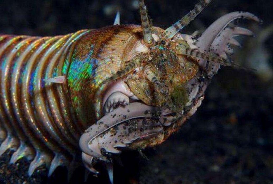 最新海缸探索,自然美景的愉快旅行之旅