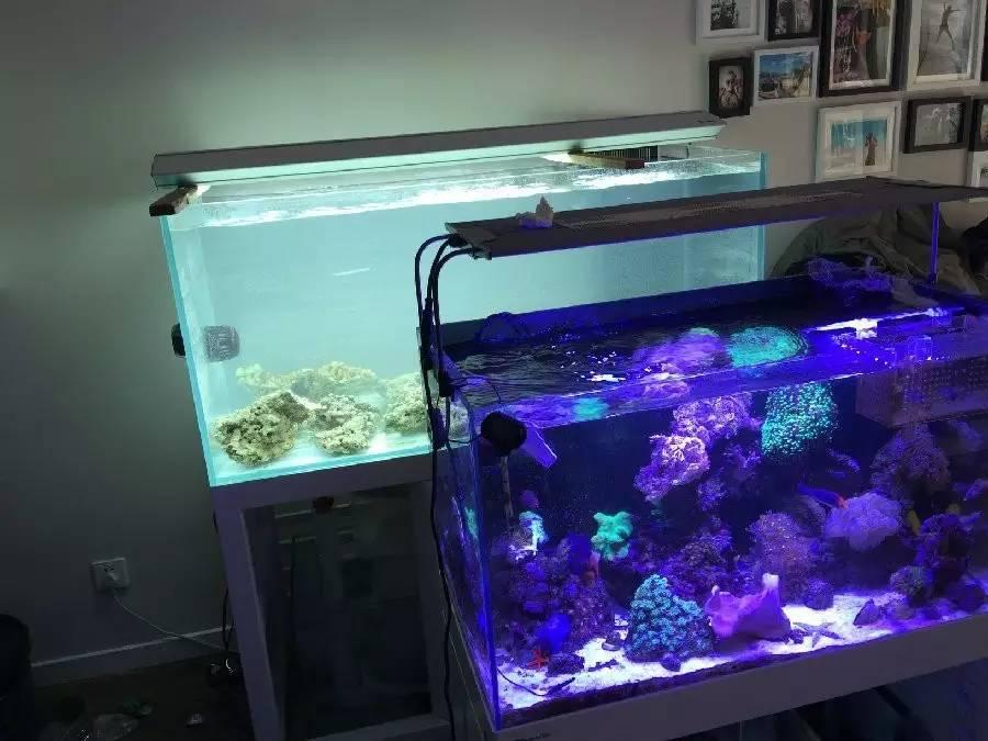 最新海缸探索,自然美景的愉快旅行之旅