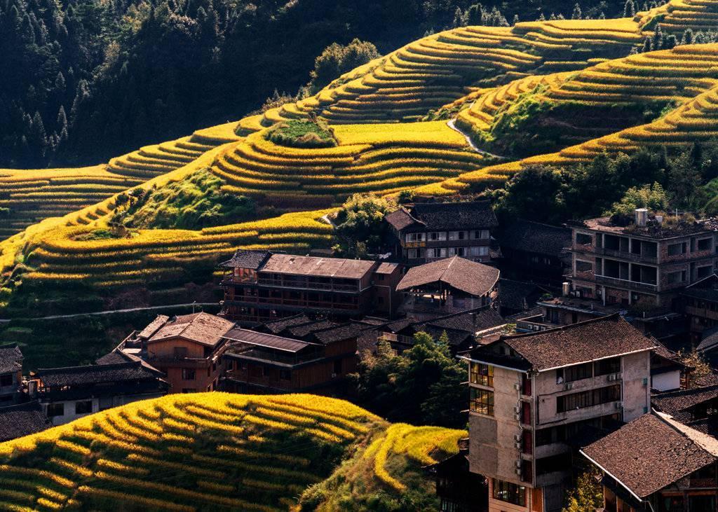 金秋天最新時(shí)尚潮流,獨(dú)特風(fēng)情展現(xiàn)魅力風(fēng)采