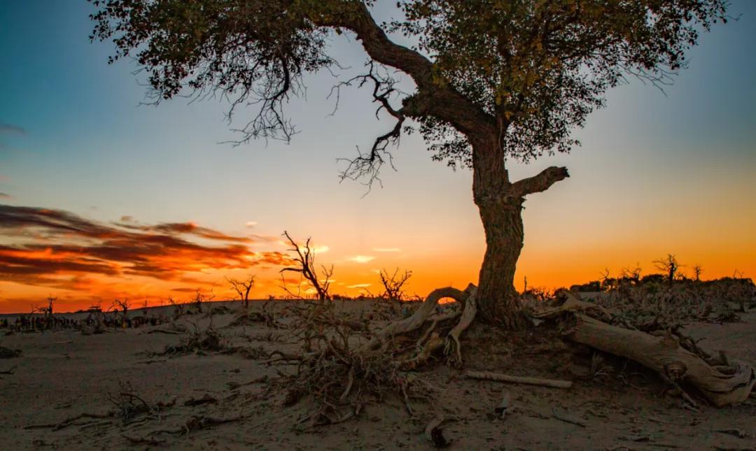 金秋天最新時尚潮流,獨特風情展現(xiàn)魅力風采