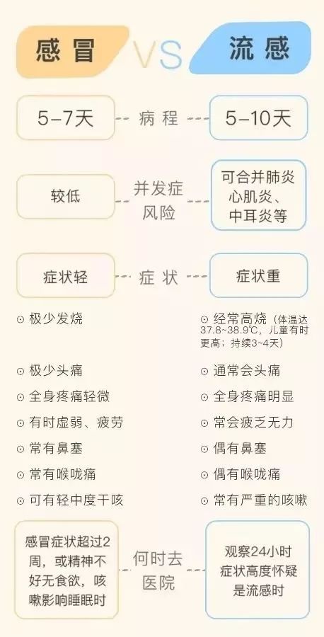 泉州流感最新動態與全面防護指南