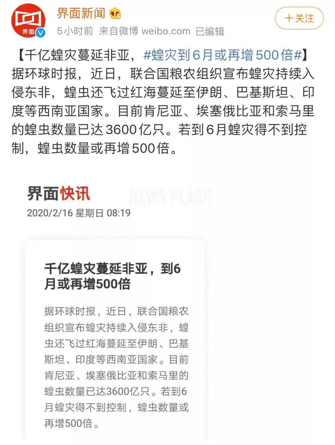 世界蝗災(zāi)最新動(dòng)態(tài),探索自然美景的輕松之旅