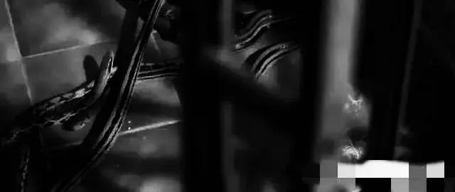 香港最新房?jī)r(jià)趨勢(shì)展望,2025年分析與展望