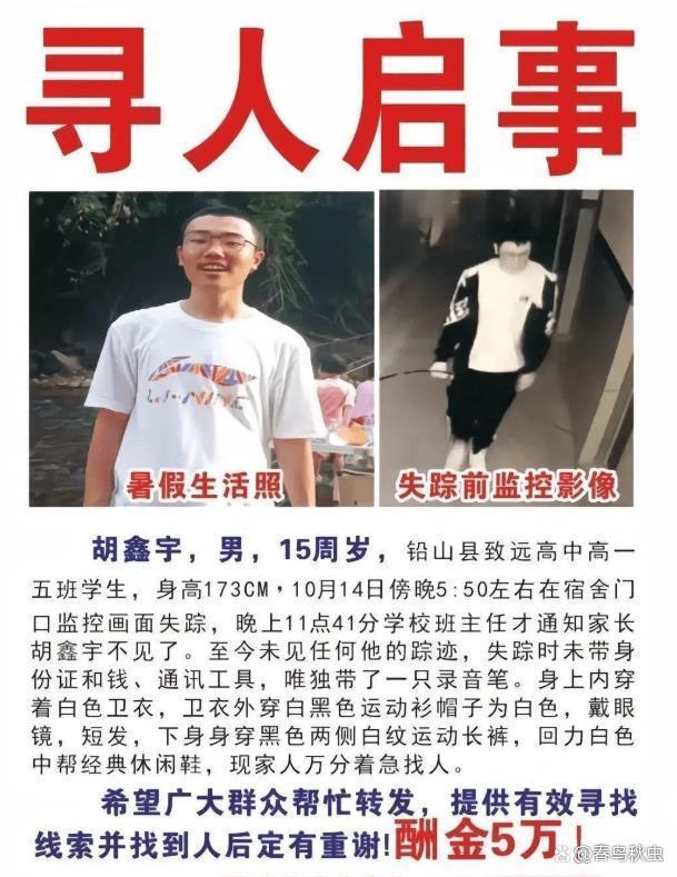 化糞池最新事件,心靈與自然的奇妙之旅