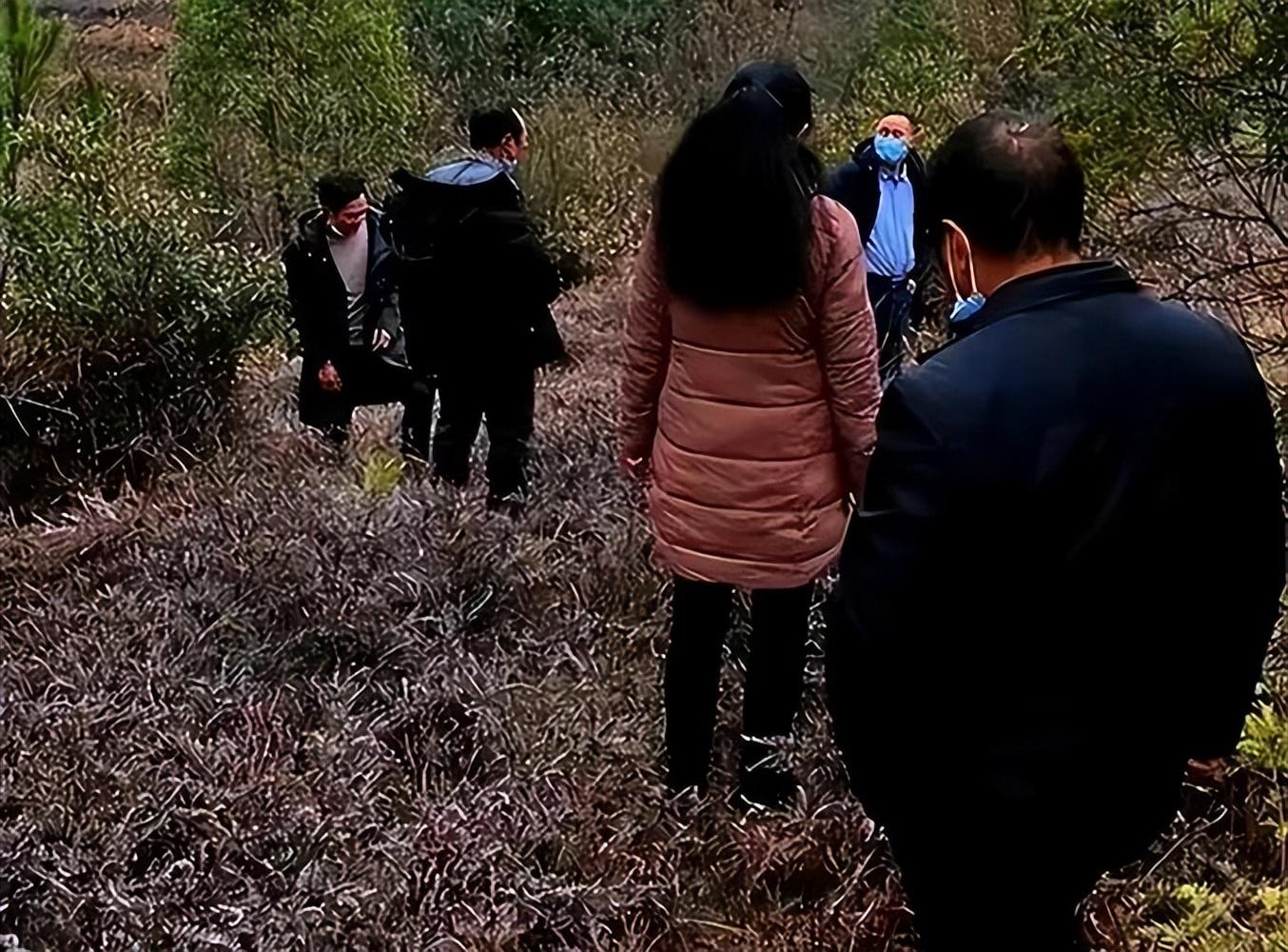 化糞池最新事件,心靈與自然的奇妙之旅