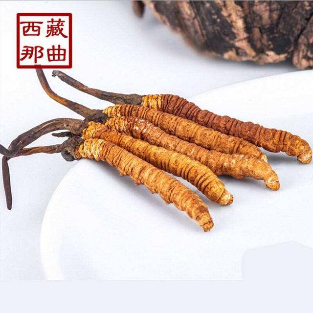 揭秘2025年蟲草最新價格,探尋小巷中的秘密行情!