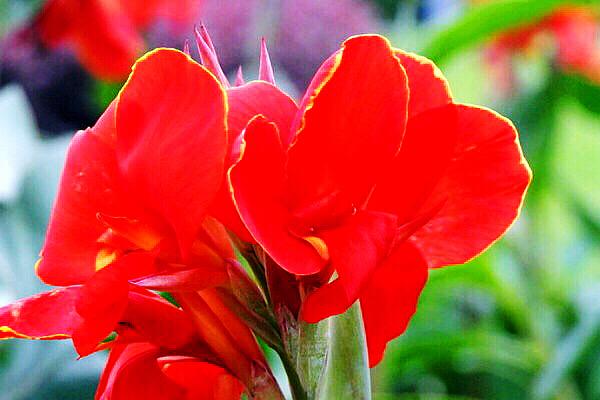 詠美最新作品——開啟智能生活科技之門的新紀元