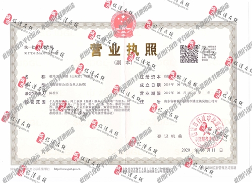 臨清招工熱潮涌動,春風與工作的溫馨呼喚求職之旅