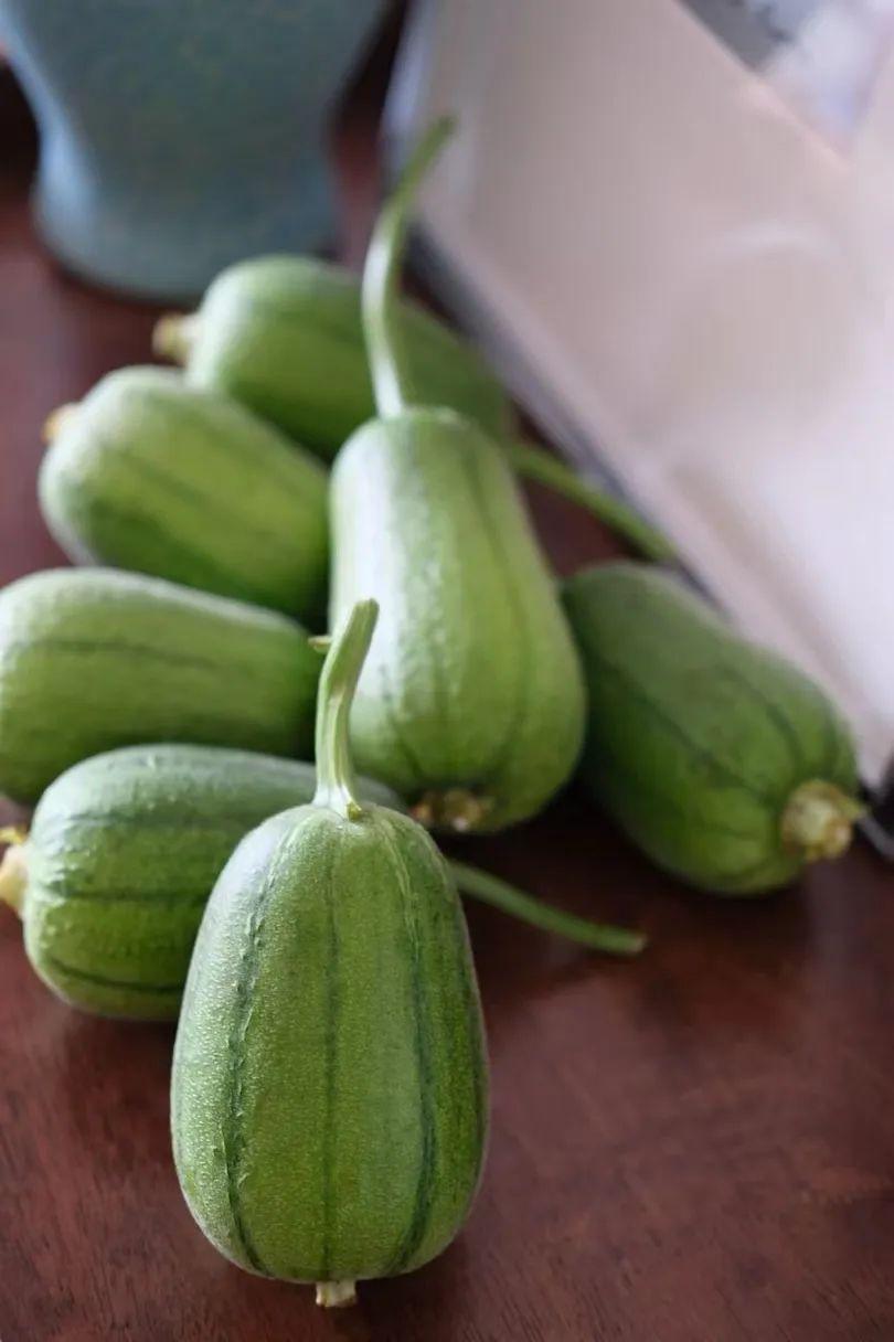 蘋果絲瓜最新版,全新升級魅力體驗