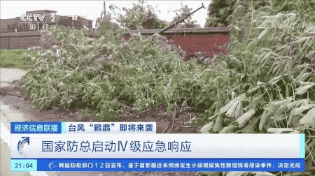 超強臺風鸚鵡來襲,最新路徑動態全解析???