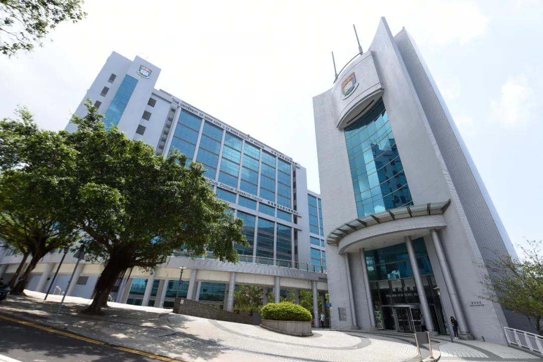 全球最新疫情動態(tài),變化中的學習之路與自信成就的力量