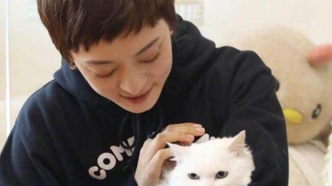 西太后愛心包最新系列,時尚與慈善的完美結合,展現獨特魅力風采