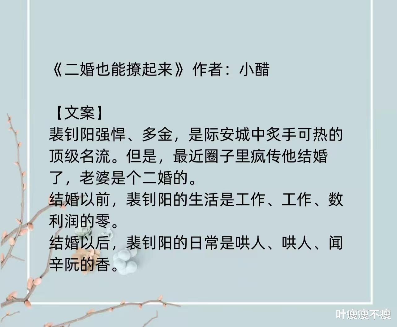 最新二婚小說,小巷深處的浪漫故事