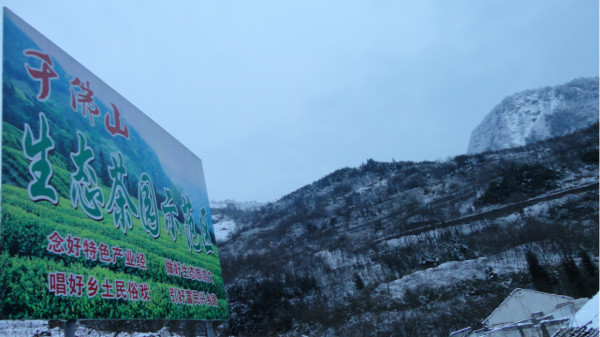 千佛山綿陽最新探索,巷弄深處的獨特風味之旅