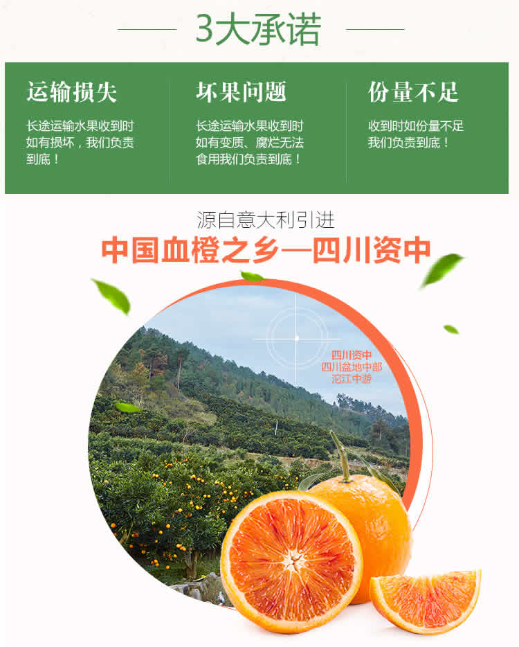 資中血橙,種植、管理與銷售全攻略的最新消息