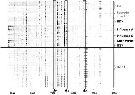 全國新型肺炎最新動(dòng)態(tài),背景、重要事件與地位概述