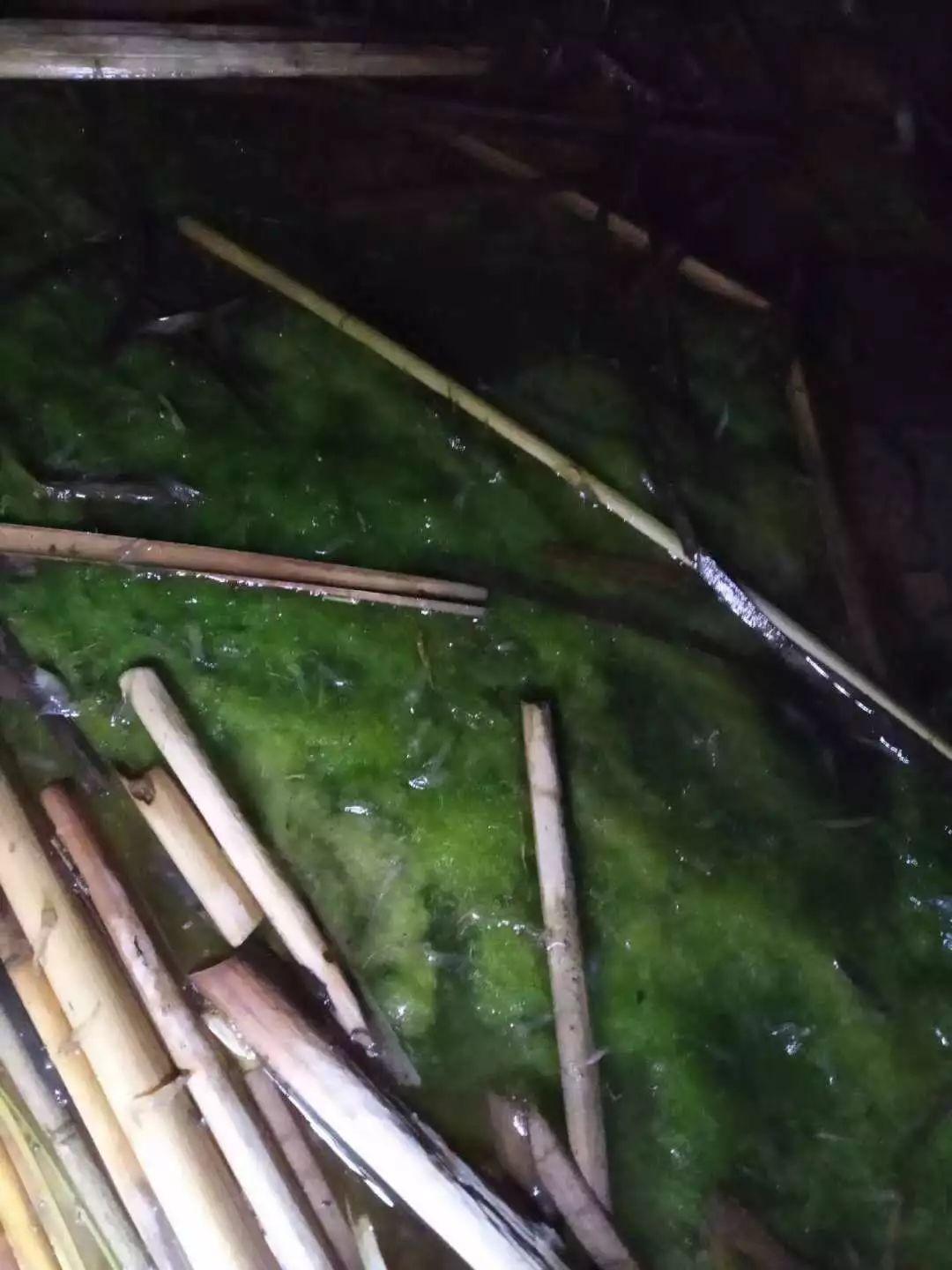 湖北孝感最新事件,學習之光,照亮自信與成就感的源泉