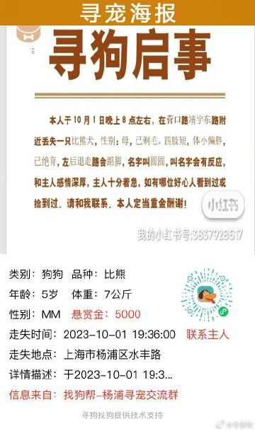 上海狗狗領養最新資訊