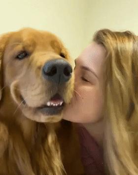 時代潮流還是陷阱?深度解讀最新趨勢背后的真相