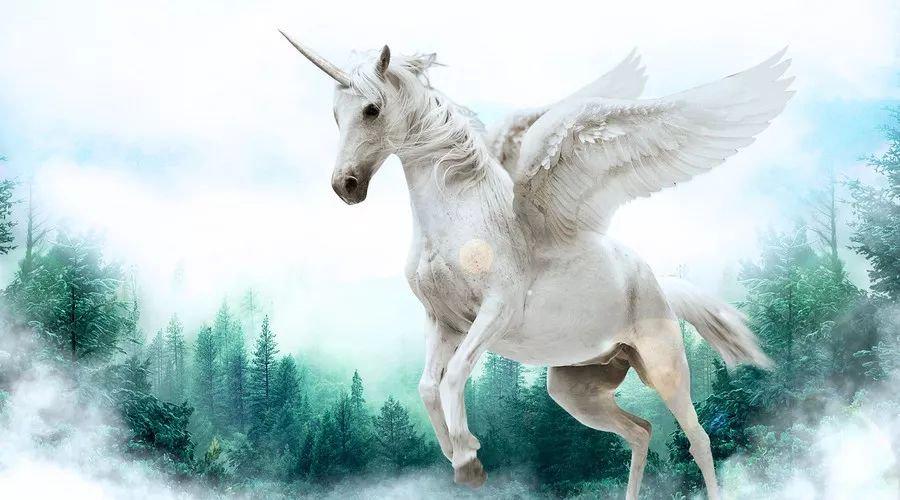 中國最新獨角獸,自信與成就感的源泉