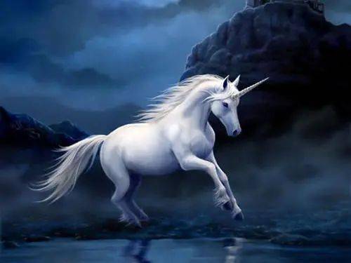 中國最新獨角獸,自信與成就感的源泉